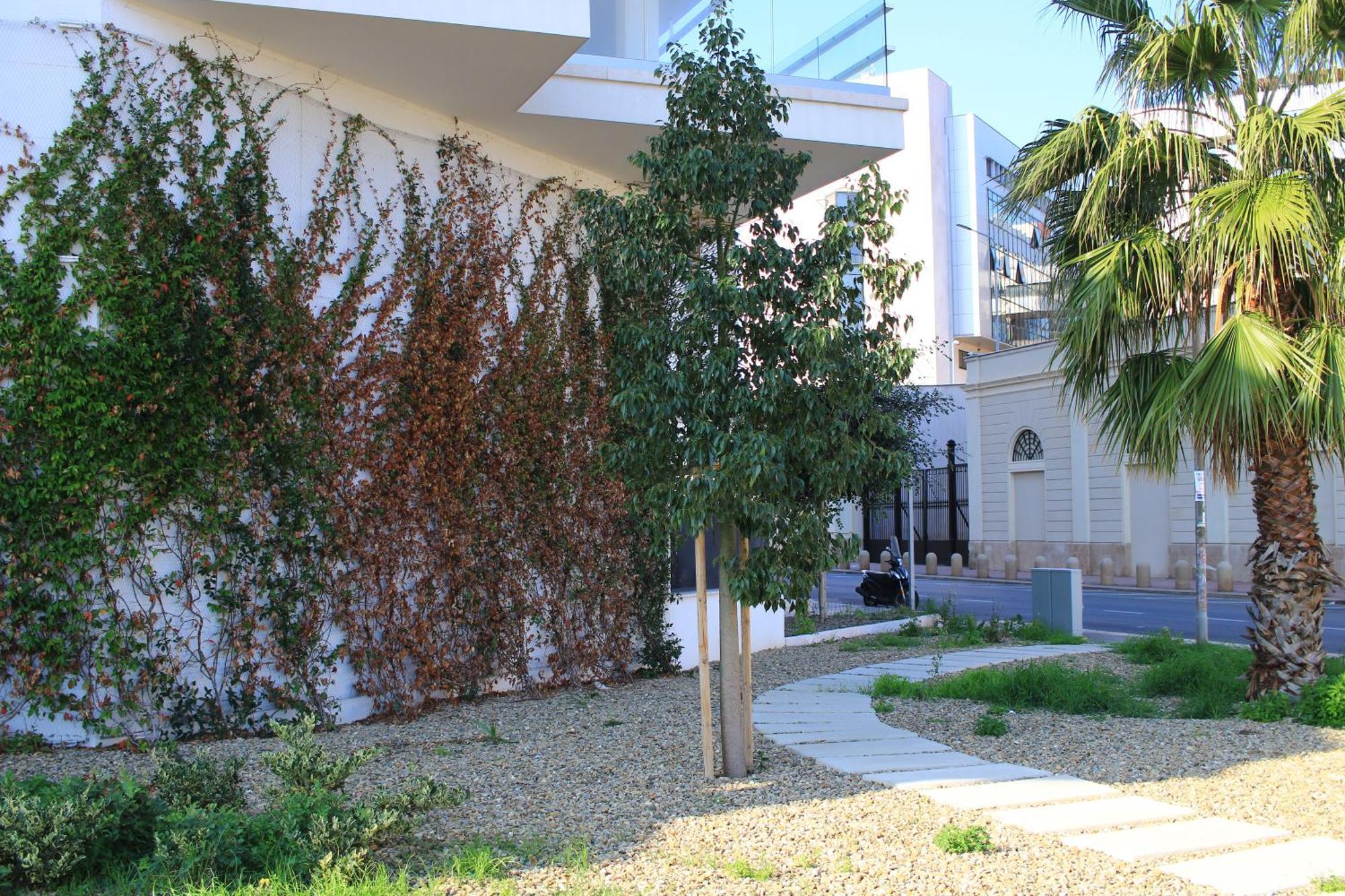 Marisabella Suite 8 บารี ภายนอก รูปภาพ